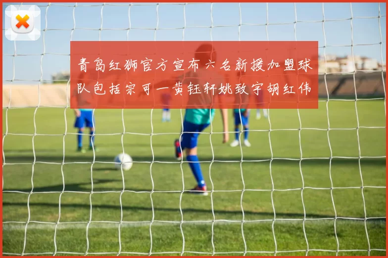 青岛红狮官方宣布六名新援加盟球队包括宗可一黄钰轩姚致宇胡红伟等人