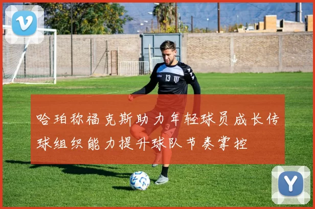 哈珀称福克斯助力年轻球员成长传球组织能力提升球队节奏掌控